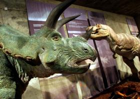 INCÊNDIO NO ZOOMARINE DESTRUIU EXPOSIÇÃO COM 30 DINOSSAUROS