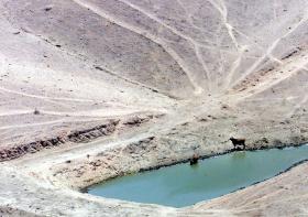 UTILIZADORES AVISADOS QUE GESTÃO DE ALBUFEIRAS PODE MUDAR SE HOUVER SECA