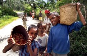 BRASIL E TIMOR-LESTE VÃO SER ANALISADOS PELO COMITÉ DA ONU SOBRE OS DIREITOS DA CRIANÇA
