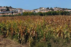 EMPRESA DE SOUSA CINTRA COM CONCESSÃO PARA EXPLORAR PETRÓLEO EM ALJEZUR E TAVIRA