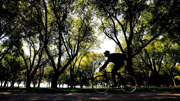 Um homem pedala ao longo da Lakeshore durante um dia de tempo quente em Toronto - 19 de agosto de 2015. (Nathan Denette / The Canadian Press)
