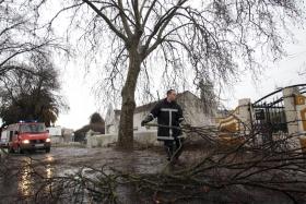 MAU TEMPO FAZ CAIR ÁRVORES E ANDAIMES NO NORTE, NÃO HÁ FERIDOS