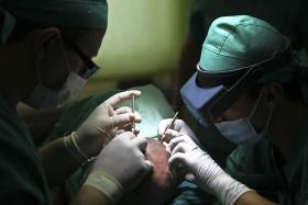 PORTUGAL ABRE HOJE O DIA EUROPEU DA DOAÇÃO E TRANSPLANTAÇÃO COM NOVOS DADOS