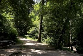 COMUNICAÇÃO DA MATA DO BUÇACO DISTINGUIDA COM PRÉMIO EUROPEU EM ÁREAS NATURAIS