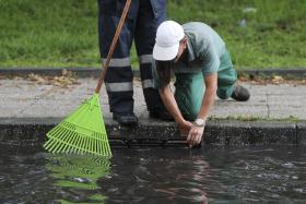 CHUVAS INTENSAS PROVOCAM INUNDAÇÕES EM ABRANTES E MAÇÃO