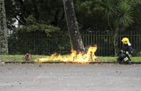 ELIMINADOS 57 NINHOS DE VESPA ASIÁTICA EM VALONGO DESDE O INÍCIO DO ANO