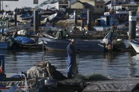 PROGRAMA DE FUNDO DAS PESCAS DEVERÁ SER APROVADO ATÉ FINAL DO ANO – GOVERNO AÇORIANO