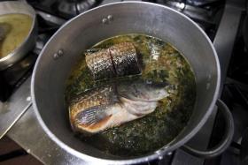 DECO DESAFIA ALUNOS A FAZEREM RECEITAS DE PEIXE ORIGINAIS E SUSTENTÁVEIS