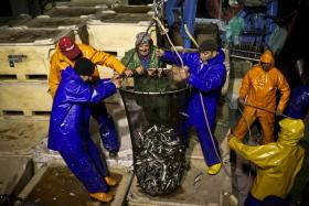 FIXAÇÃO DE VALORES DE APOIO AO SETOR DAS PESCAS DEPENDE DOS ESTADOS-MEMBROS – COMISSÁRIO