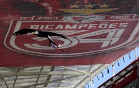 ENTRADA DE ADEPTOS DO SPORTING NO ESTÁDIO DA LUZ DECORRE SEM INCIDENTES