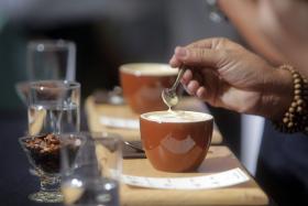 IDENTIFICADO FRAGMENTO DE PROTEÍNA NO CAFÉ COM EFEITOS ANALGÉSICOS SEMELHANTES À MORFINA