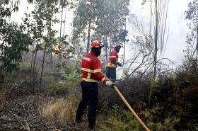 2015 FOI UM ANO “BEM CONSEGUIDO” NO COMBATE A INCÊNDIOS – PROTEÇÃO CIVIL
