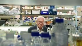 REPARAÇÃO DE ADN É FUNDAMENTAL PARA PREVENÇÃO E TRATAMENTO DE CANCRO, DESTACAM PERITOS