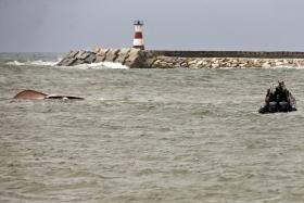 NAUFRÁGIO/FIGUEIRA DA FOZ: BUSCAS SUBAQUÁTICAS SUSPENSAS ATÉ ÀS 20:00
