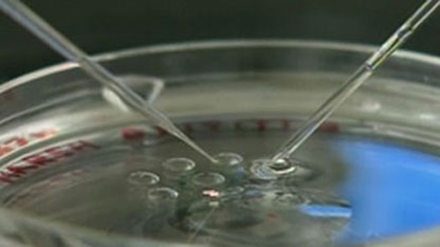 PROVÍNCIA ATRASA ANÚNCIO SOBRE FINANCIAMENTO DE IN-VITRO