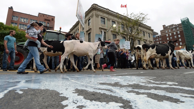 Produtores de leite participam de um protesto no centro de Otava - 29 de setembro de 2015. (Sean Kilpatrick/The Canadian Press)