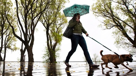 Uma mulher protege-se da chuva sob um guarda-chuva enquanto passeia o seu cachorro ao longo da costa do lago de Toronto nesta foto de arquivo. (Darren Calabrese / The Canadian Press)
