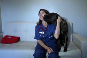 CÃES COM QUARTOS DE LUXO E LIGADOS À INTERNET EM HOSPITAL NA MAIA