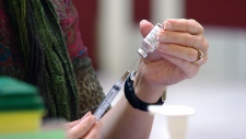CAMPANHA DE VACINAÇÃO DA GRIPE DO QUEBEC A DECORRER