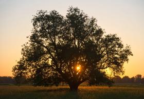 AUTARCAS DO BAIXO ALENTEJO PREOCUPADOS COM ATRASO NOS PROGRAMAS COMUNITÁRIOS