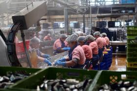 AUMENTO DO SALÁRIO MÍNIMO ABRANGE MAIS DE MEIO MILHÃO DE TRABALHADORES