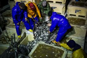 UE ENTREGA 6,2 ME À GUINÉ-BISSAU NO QUADRO DO ACORDO DE PESCAS