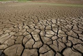 INTENSIFICAM-SE OS APELOS DE SOLIDARIEDADE PARA A SECA NO SUL DE ANGOLA