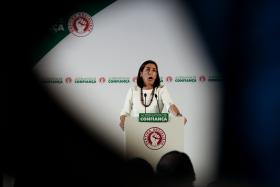 19503181.jpg