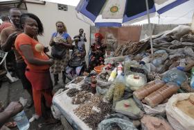 POLÍCIA ENVOLVIDA NO ROUBO DE COMBUSTÍVEL QUE DESTRUIU TERMINAL DE CEREAIS EM MAPUTO