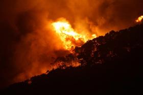 INCÊNDIO FLORESTAL DESTRUIU 53 CASAS NA AUSTRÁLIA