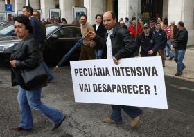 SUINICULTORES PROTESTAM JUNTO A SUPERMERCADOS DO GRANDE PORTO