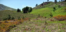 SEIS PESSOAS POR RESGATAR NA PENEDA-GERÊS