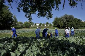 LANÇADA PETIÇÃO PÚBLICA POR MAIS VERBAS PARA A AGRICULTURA