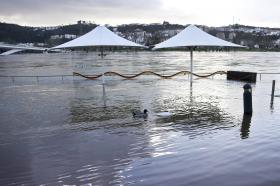 MAU TEMPO: PROTEÇÃO CIVIL ALERTA PARA CHEIAS NO DISTRITO DE COIMBRA