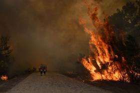 IDANHA-A-NOVA INVESTE 234 MIL EUROS NA PREVENÇÃO DE FOGOS FLORESTAIS