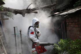 BRASIL REGISTOU RECORDE DE 1,6 MILHÕES DE CASOS DE DENGUE EM 2015
