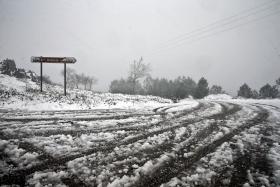 PRIMEIRO NEVÃO ATINGE PONTO MAIS ALTO DA SERRA DA LOUSÃ