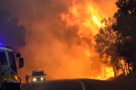 DOIS MORTOS E MAIS DE 100 CASAS DESTRUÍDAS EM INCÊNDIO FLORESTAL NA AUSTRÁLIA
