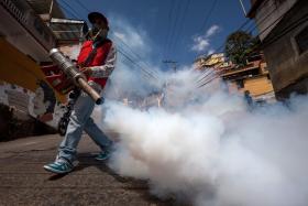 ZIKA: GOVERNO DE CABO VERDE QUER PAÍS FORA DA LISTA DOS AFETADOS PELO VÍRUS