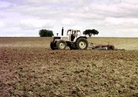 TRIBUNAL DE CONTAS EUROPEU IDENTIFICA ERROS EM FINANCIAMENTOS AGRÍCOLAS, INCLUINDO EM PORTUGAL
