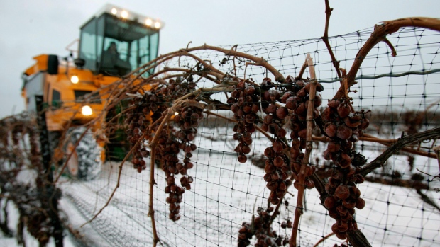 Foto de arquivo. (Dave Chidley / THE CANADIAN PRESS)