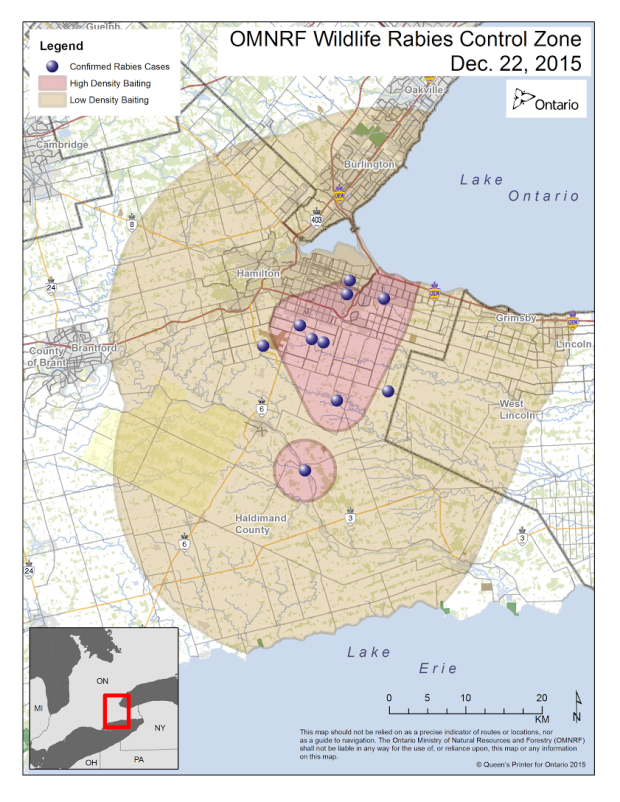 O mapa (baiting) com os primeiros dez casos de raiva descobertos em Hamilton. Os casos de terça-feira foram encontrados em Ancaster e Glanbrook. (Ministério de Recursos Naturais e Silvicultura)