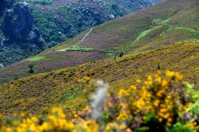 GRUPO DE NOVE PESSOAS PEDE AUXÍLIO À GNR PARA SAIR DA SERRA DO GERÊS