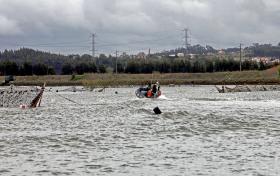 PESCADORES ESPERAM QUE MARÇO SALVE SAFRA DA LAMPREIA NO RIO MINHO