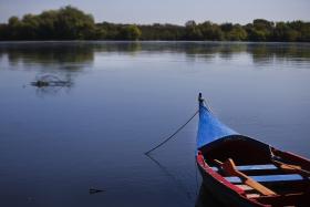 MUNICÍPIOS DO MÉDIO TEJO PEDEM AJUDA AO PARLAMENTO PARA COMBATER POLUIÇÃO DO RIO