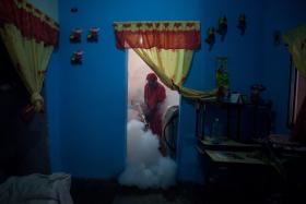 ZIKA: VENEZUELA CONFIRMA PRIMEIROS TRÊS MORTOS