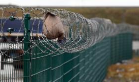 MIGRAÇÕES: BÉLGICA REINTRODUZ CONTROLO NA FRONTEIRA COM FRANÇA DEVIDO A CALAIS