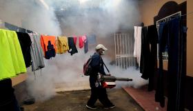 ZIKA: MILHÕES DE INFETADOS NA AMÉRICA DO SUL PROVOCAM EMERGÊNCIA DE SAÚDE PÚBLICA MUNDIAL