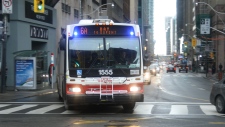 Um autocarro de TTC é mostrado nesta foto de arquivo. (Chris Fox / CP24.com)