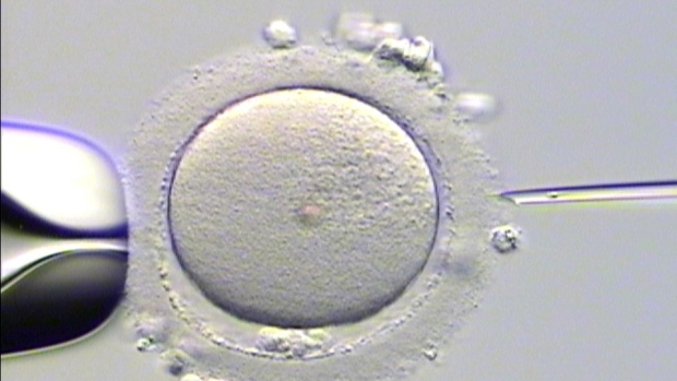 O Quebec ainda irá cobrir medicamentos para a fertilização in-vitro através de créditos fiscais, até 80%, dependendo do rendimento. (Cortesia Dr. Thomas Hannam)